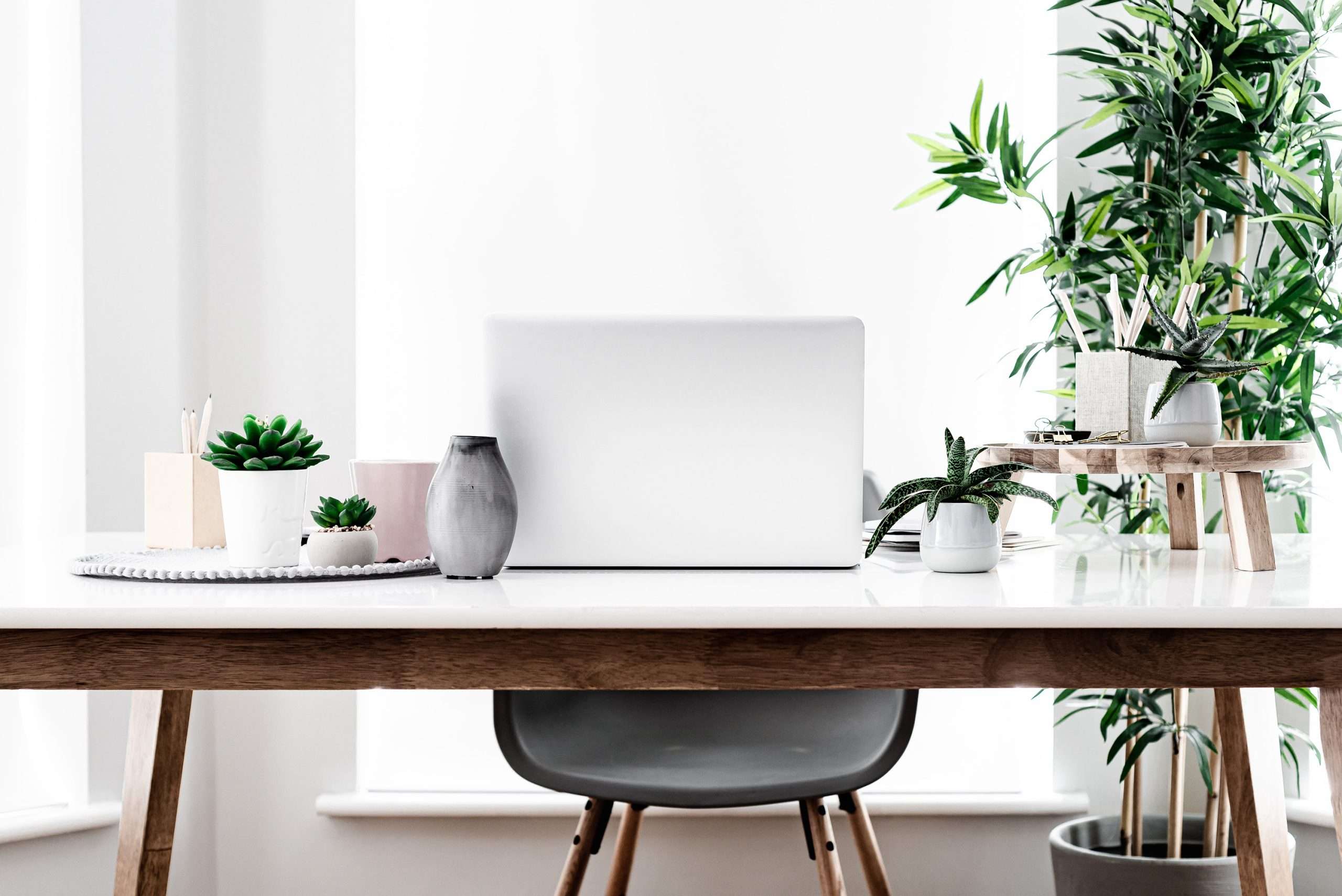 Table decoration ideas with plant