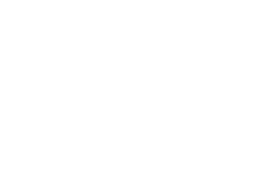 Work wise Logo
