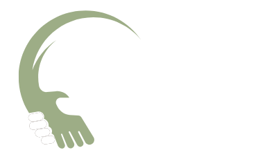Adari-Consulting-2-new
