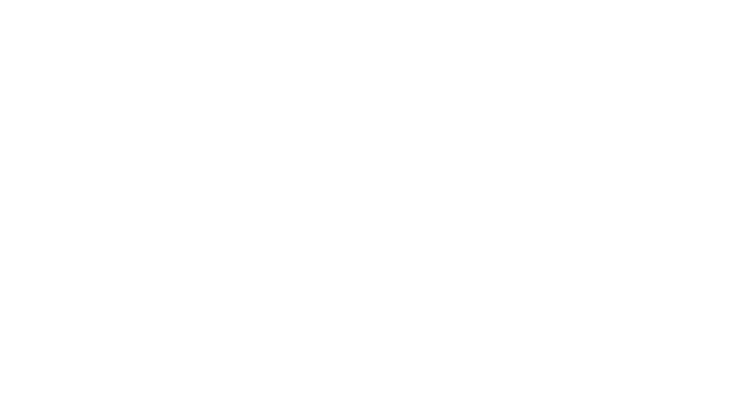 logo1