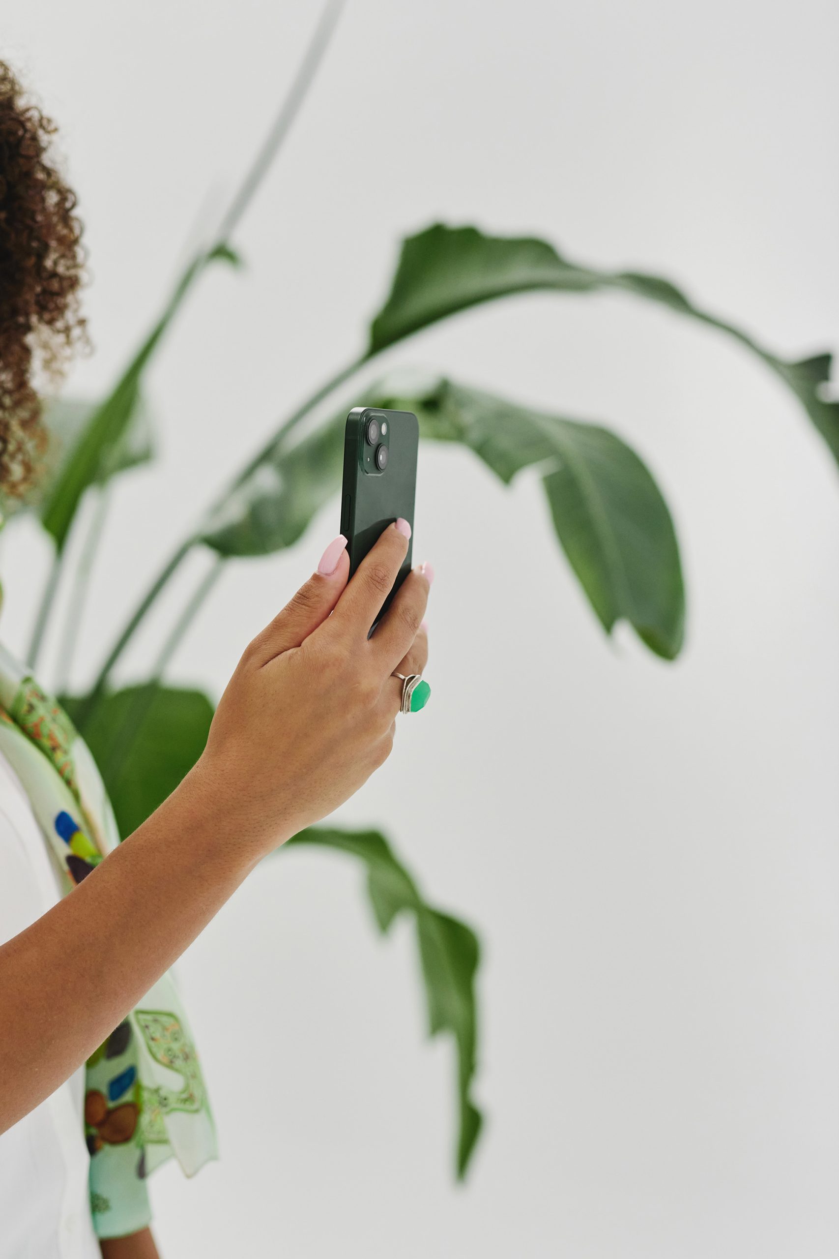 Person Holding A Smartphone, Possibly To Take A Picture Of A Plant