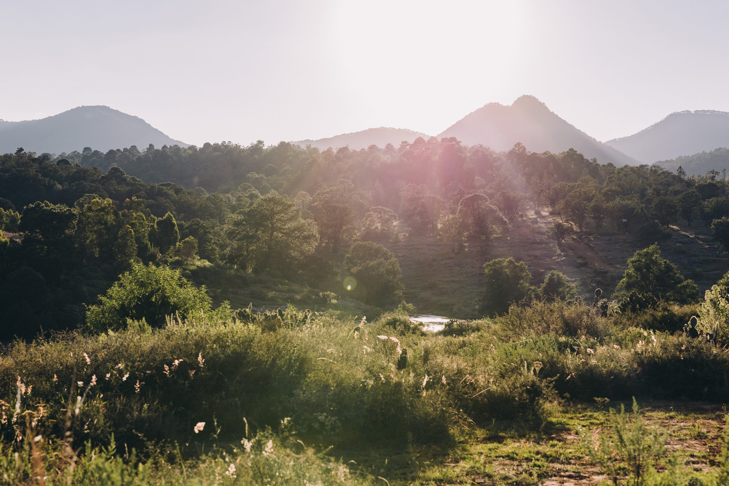 Helping Climate Tech and Energy Founders Build What Matters